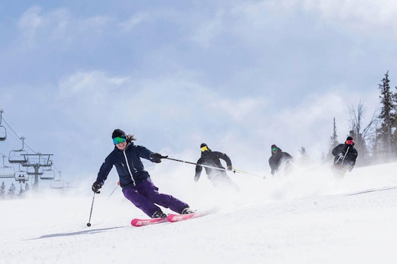 Privé Skilessen voor Volwassenen - Ochtend - 2 uur Privé Skilessen voor Volwassenen - Ochtend - 2 uur